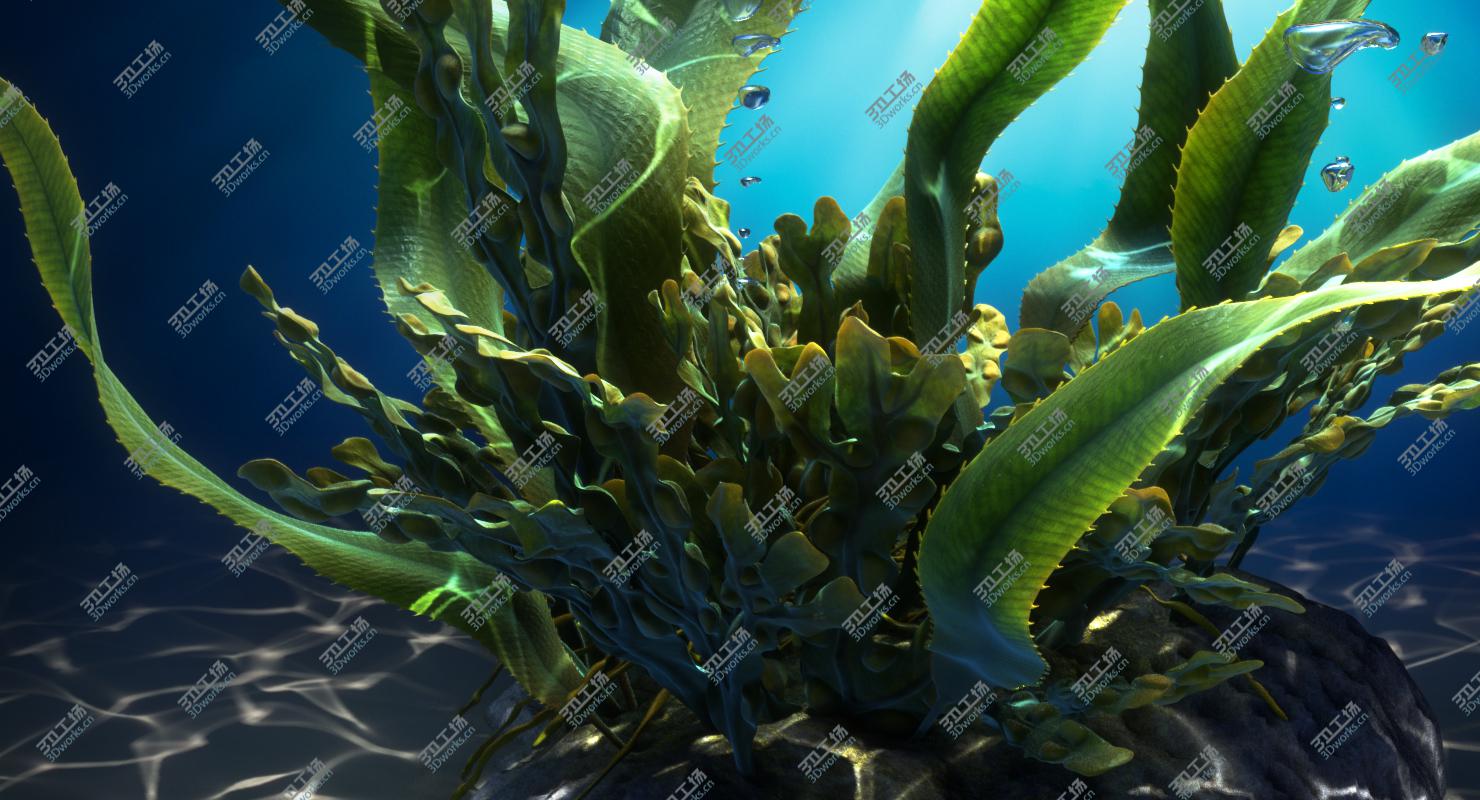 images/goods_img/20210313/Seaweed Animated/4.jpg